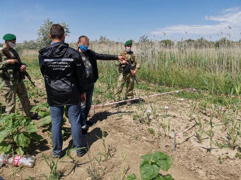 На смотрины в Украину: у границы с Молдовой пограничники Измаильского отряда задержали влюбленную пару - Город 24 На смотрины в Украину: у границы с Молдовой пограничники Измаильского отряда задержали влюбленную пару - Город 24