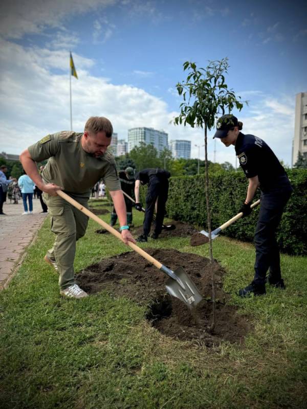 За час повномасштабної війни в Одеській області загинули 11 дітей: в пам'ять про них висадили алею сакур За час повномасштабної війни в Одеській області загинули 11 дітей: в пам'ять про них висадили алею сакур