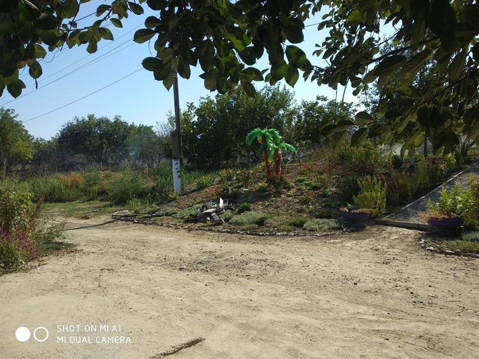В селе Сафьяны горело кладбище (ФОТО) В селе Сафьяны горело кладбище (ФОТО)