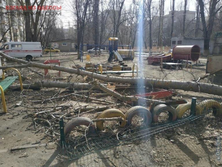 В Одессе на детскую площадку рухнуло дерево: есть пострадавшие В Одессе на детскую площадку рухнуло дерево: есть пострадавшие
