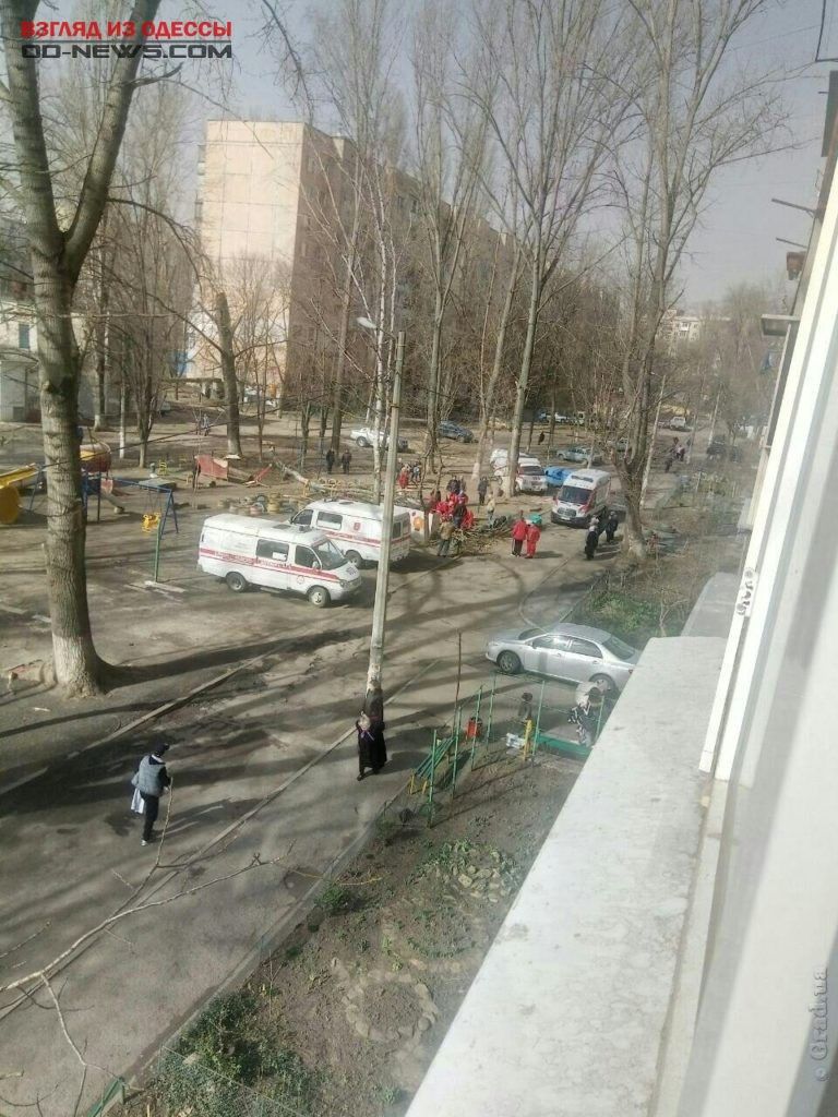 В Одессе на детскую площадку рухнуло дерево: есть пострадавшие В Одессе на детскую площадку рухнуло дерево: есть пострадавшие