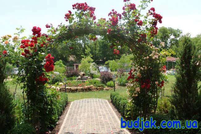 phoca thumb l lebedevka bo bessarabia more 12