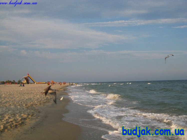 phoca thumb l more 02