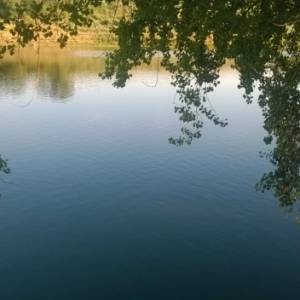 В Одесской области вводится запрет на вылов рыбы в зимовальных ямах