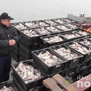 Наловили рыбы на 660 тысяч: в Одесской области накажут браконьеров
