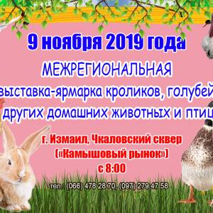 Анонс. В Измаиле состоится традиционная выставка-ярмарка домашних животных и птиц