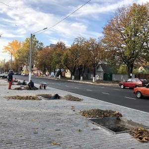 В Измаиле продолжают высаживать деревья. Готовится территория для высадки катальп на проспекте Суворова (ФОТО)