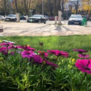 Погода в Измаиле 8 ноября