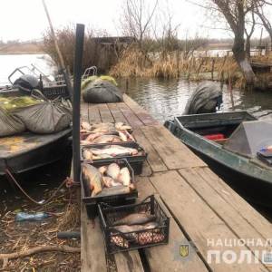 Браконьеры выловили в Днестровском лимане рыбы на 50 тысяч, назвавшись учеными-исследователями