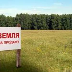 Одесский облсовет обратился к ВР с просьбой не принимать закон о продаже земли