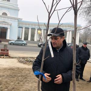 В Городском саду Измаила идет высадка декоративных деревьев (ВИДЕО, ФОТО)