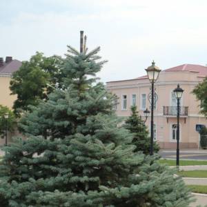 Погода в Измаиле 4 декабря