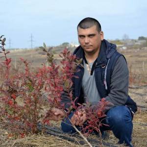 В Измаильском районе заложили первый в Украине фисташковый сад. Первый урожай орехов ожидают через пять лет (ФОТО)