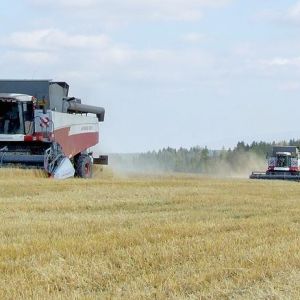 Измаильский район: уборочная кампания в разгаре