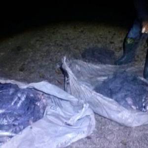 В Измаильском районе на озере Кугурлуй поймали браконьера с уловом на 50 тысяч