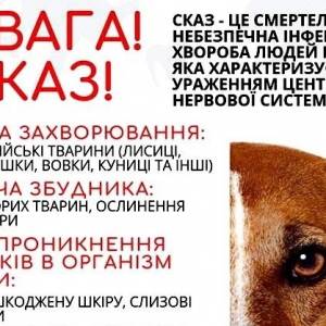 Охотничьи угодья в Одесской области неблагополучны по бешенству