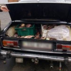 На трассе Одесса-Рени обнаружили браконьера, который вез в авто 114 килограммов рыбы