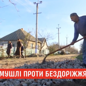Рапаны, которыми засыпали дорогу в Килии, начали издавать невыносимый запах