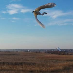 Погода в Измаиле 19 декабря