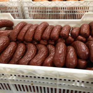 Грызуны, сыры и мясо: склад с опасными продуктами обнаружили в Одесской области, - ФОТО