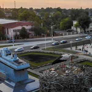 Девять громад Одесской области попали в ТОП-200 ОТГ, в том числе Измаил
