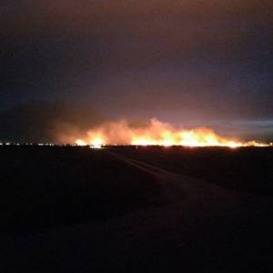 Видно за много километров: Под Одессой загорелся нацпарк: пожарные не могут потушить огонь