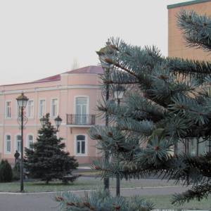 Погода в Измаиле 28 января