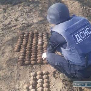 Житель Одесской области нашел в своем огороде сотню гранат