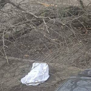 Девушка погибла в центре Одессы: на нее упало дерево (фото)