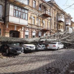 Шторм в Одессе: деревья падают на машины и провода, есть пострадавшие (обновляется, ФОТОРЕПОРТАЖ)