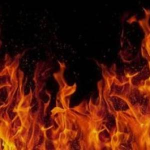 Штормовой ветер раздул масштабный пожар в заповедных плавнях у трассы "Одесса-Рени", - СМИ