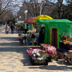 Погода в Измаиле 8 марта