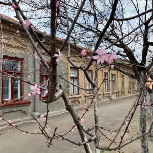 Погода в Измаиле 9 марта