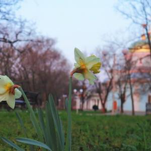 Погода в Измаиле 21 марта