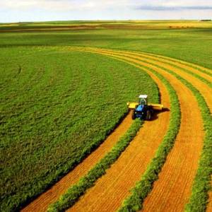 ВР разрешила продавать землю – как голосовали одесские нардепы