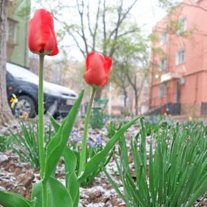 Погода в Измаиле 31 марта