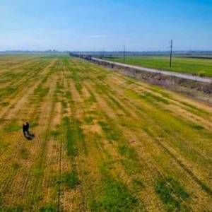 На юге Одесской области могут обанкротиться сотни аграриев