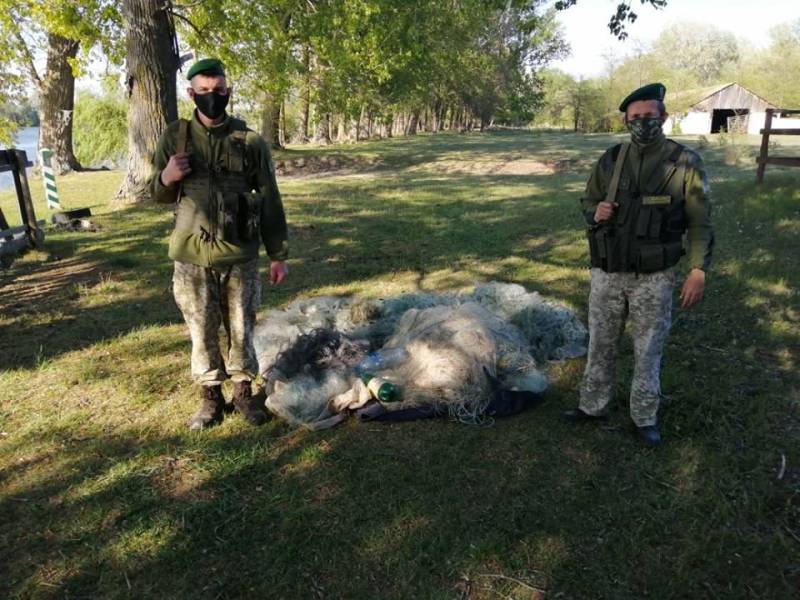 Пограничники Измаильского отряда изъяли более километра браконьерских сетей и три лодки (ФОТО) Пограничники Измаильского отряда изъяли более километра браконьерских сетей и три лодки (ФОТО)