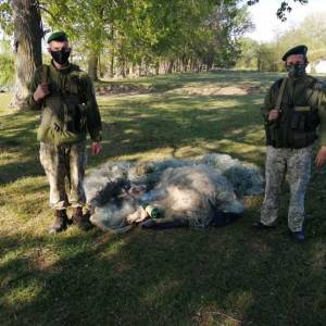 Пограничники Измаильского отряда изъяли более километра браконьерских сетей и три лодки (ФОТО)