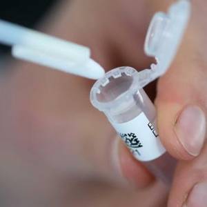 Будет ли тест на COVID-19 обязательным для моряков перед отправкой в рейс ?