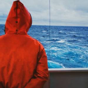 О том, что "косяк" с отчётом IMO мог лишить моряков Украины работы, умолчали