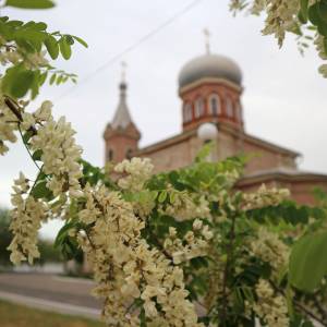 Погода в Измаиле 12 мая