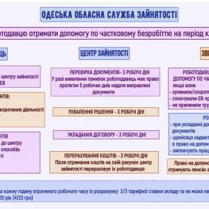 Служба занятости рассказала о выплатах по частичной безработице в Измаиле и опубликовала инструкцию