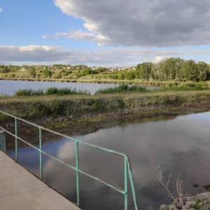 Озеро Ялпуг в Одесской области обмелело из-за засухи (фото)
