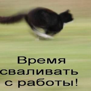 Смены моряков реальны, только не все компании их добиваются - Город 24