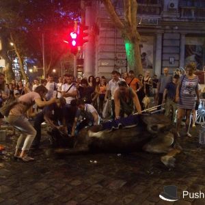 В Одессе запряжённая в карету лошадь упала в обморок от жары