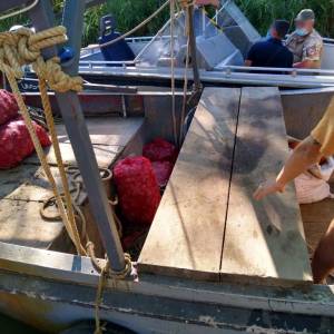 Измаильские пограничники задержали в Дельте Дуная браконьеров с уловом порядка 8 тысяч рапанов