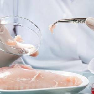 В Одесскую область завезли из Польши курицу с сальмонеллой