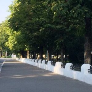 В Измаиле сквер у Свято-Покровского собора сделают открытым, демонтируют ограждение