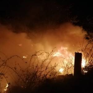 Рекордная засуха: за ночь в Одесской области тушили 23 пожара и спасали две электроподстанции